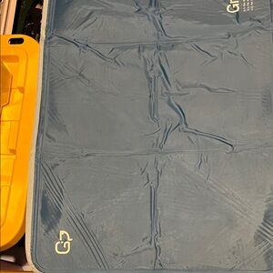 Green Pet Branded Blue Coolong Mat